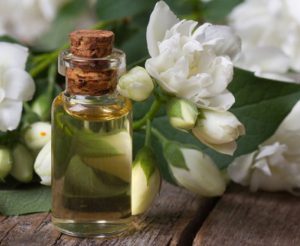 Hương Hoa Lài Vũ Hương