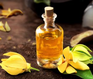 Hương Ngọc Lan Tây - Vũ Hương Tinh Dầu Thiên Nhiên