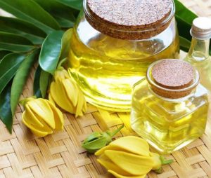 Hương Ngọc Lan Tây - Vũ Hương Tinh Dầu Thiên Nhiên