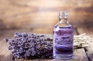 Hương Oải Hương Vũ Hương