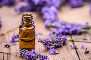 Hương Oải Hương Vũ Hương