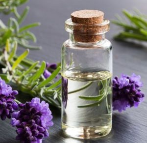 Tinh dầu Oải Hương Vũ Hương