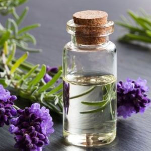 Hương Oải Hương Vũ Hương