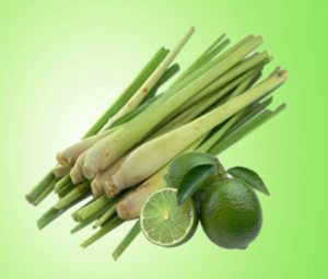 Tinh dầu Sả Chanh