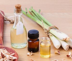 Tinh dầu Sả Java