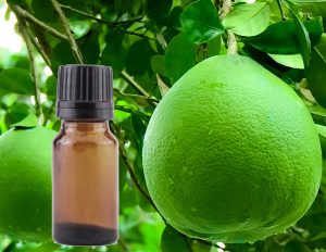 Dầu bưởi - Vũ Hương Tinh Dầu Thiên Nhiên