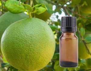 tinh dầu bưởi da xanh - Vũ Hương Tinh Dầu Thiên Nhiên