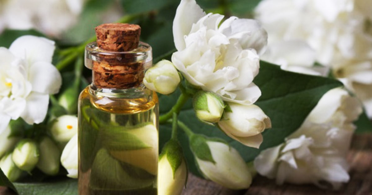 Cung cấp tinh dầu hoa lài 10/90 giá sỉ chất lượng TP HCM