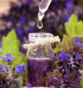 Dầu massage oải hương - Vũ Hương Tinh Dầu Thiên Nhiên