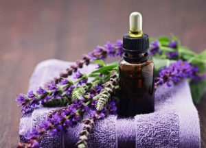 Dầu massage oải hương - Vũ Hương Tinh Dầu Thiên Nhiên