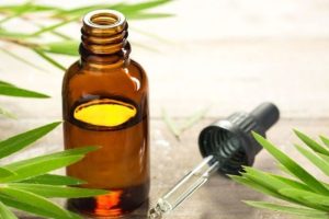 Hướng dẫn dùng tinh dầu tràm trà để làm đẹp đúng cách