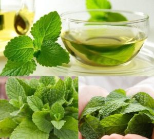 Hương nước giặt tự nhiên