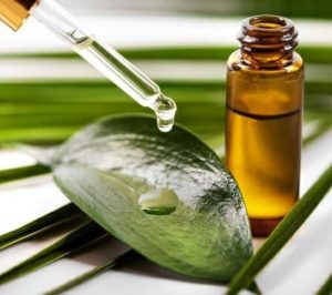 Hương nước rửa chén tự nhiên