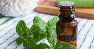 5 Lợi ích bất ngờ của tinh dầu kinh giới nguyên chất