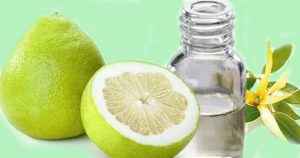 Phân biệt các loại tinh dầu bưởi phổ biến và công dụng