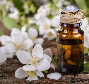 Phân biệt các loại tinh dầu bưởi phổ biến và công dụng